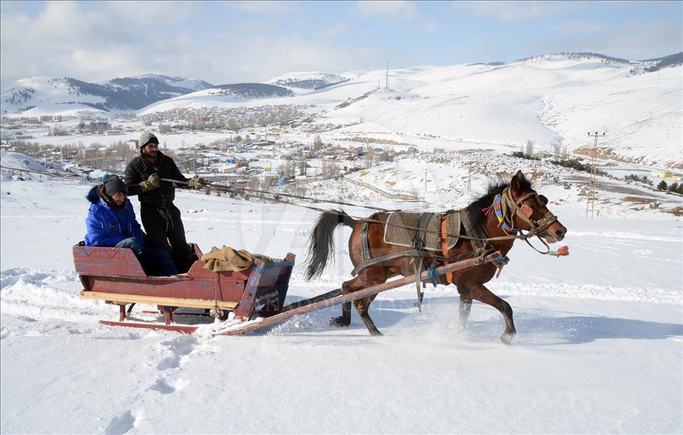سورتمه سواری با اسب در قارص ترکیه