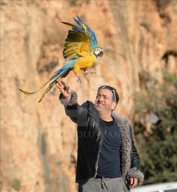 Papağan "Cabbar" ile sahibinin 20 yıllık dostluğu 