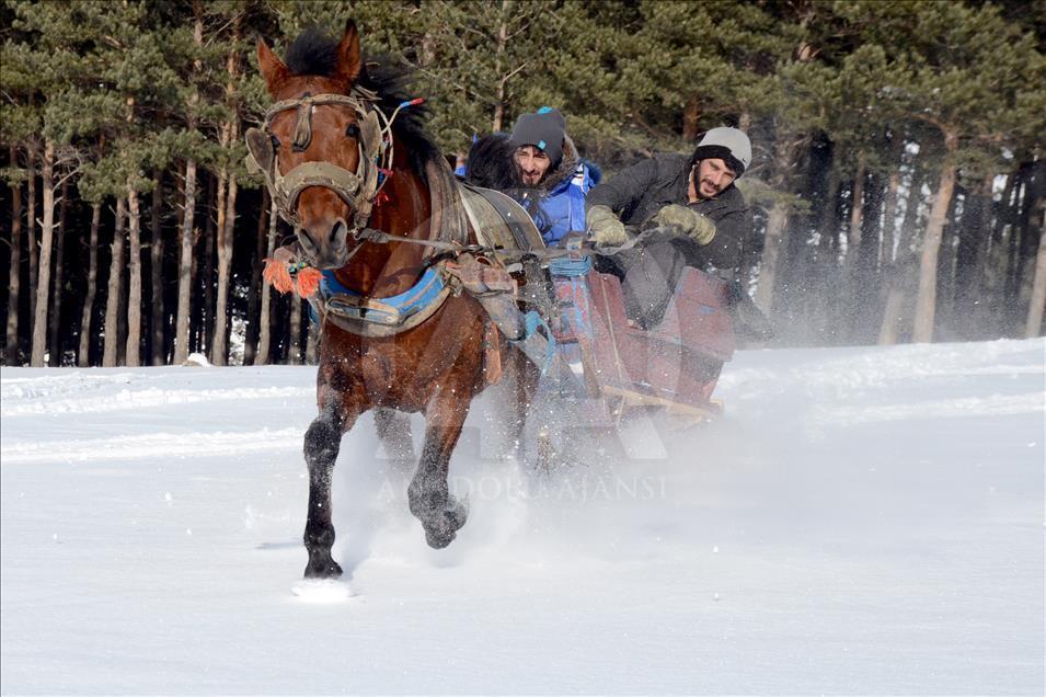 سورتمه سواری با اسب در قارص ترکیه