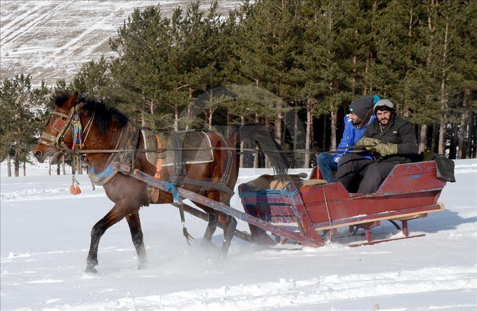 سورتمه سواری با اسب در قارص ترکیه