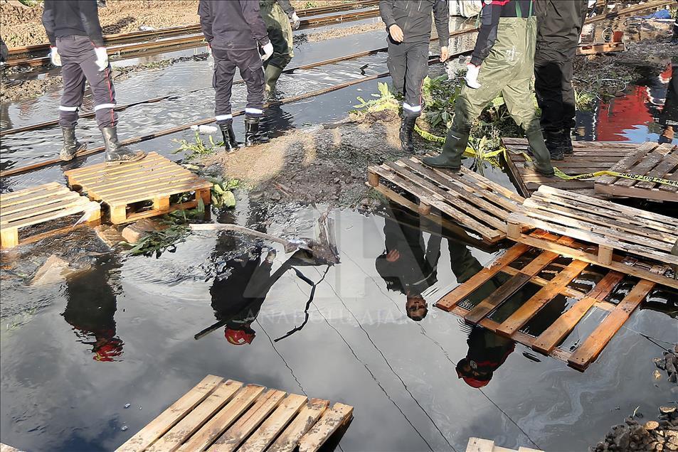 Tunus'ta tren kazası