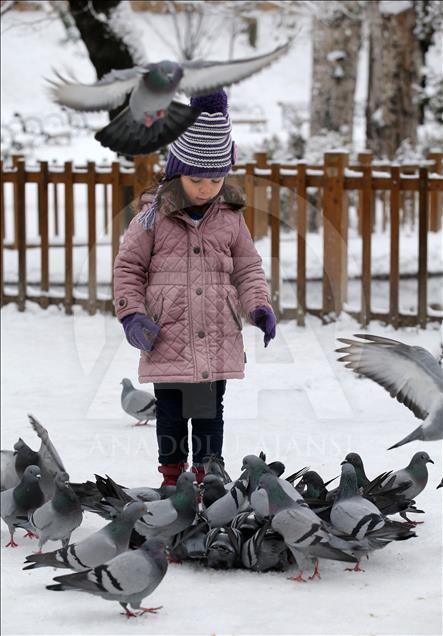 Ankara'da kar yağışı