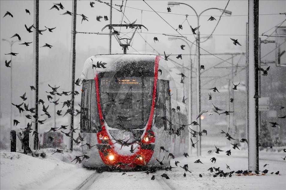 Высота снежного покрова в Стамбуле достигла 40 см
