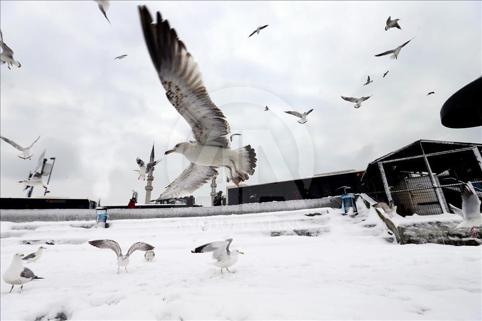 İstanbul'da kar manzaraları