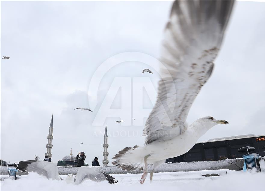 İstanbul'da kar manzaraları