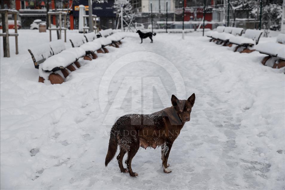 İstanbul'da kış