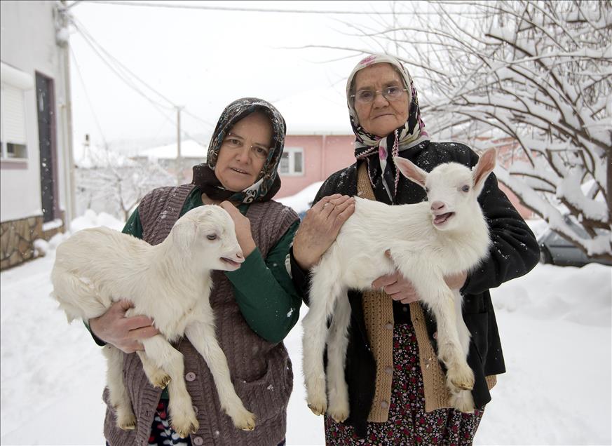 Snowfall in Turkey's Izmir