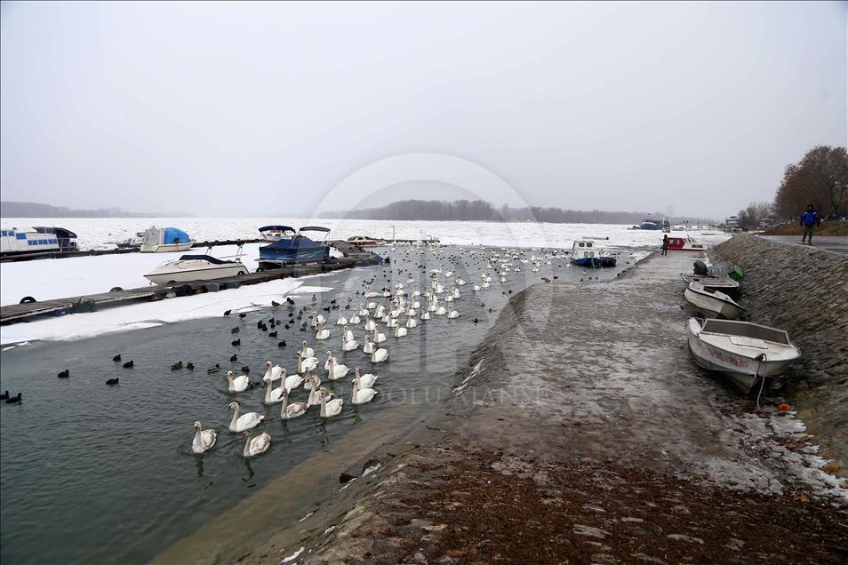 Donan Tuna nehri, buzlardan temizleniyor