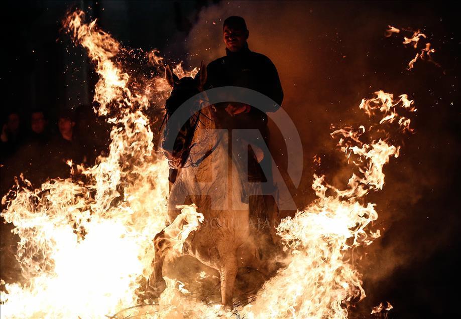 مراسم پرش اسب ها از میان آتش در اسپانیا