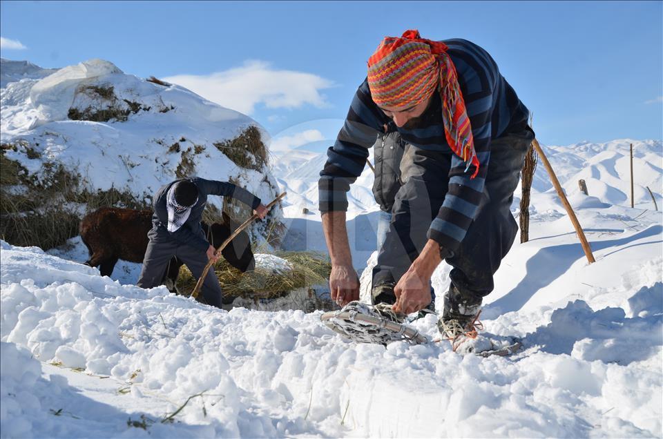 Karlı yollar "hedik" ile aşılıyor