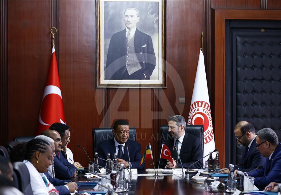 Etiyopya Cumhurbaşkanı Wirtu, Türkiye'de