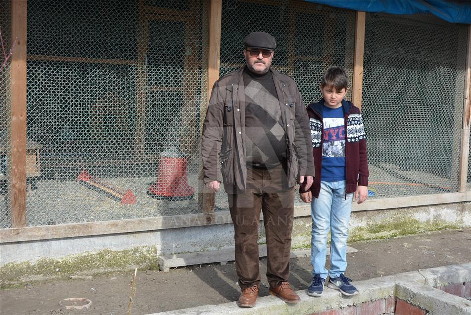Evinin bahçesinde 400 kanatlı hayvan besliyor