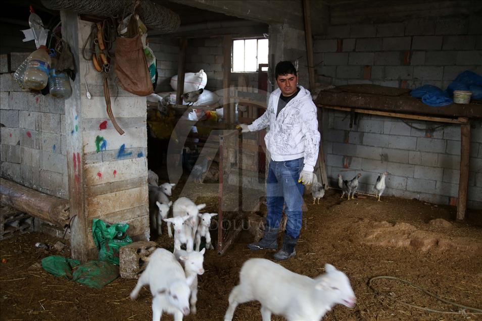 Köyde çoban, kayak merkezinde antrenör