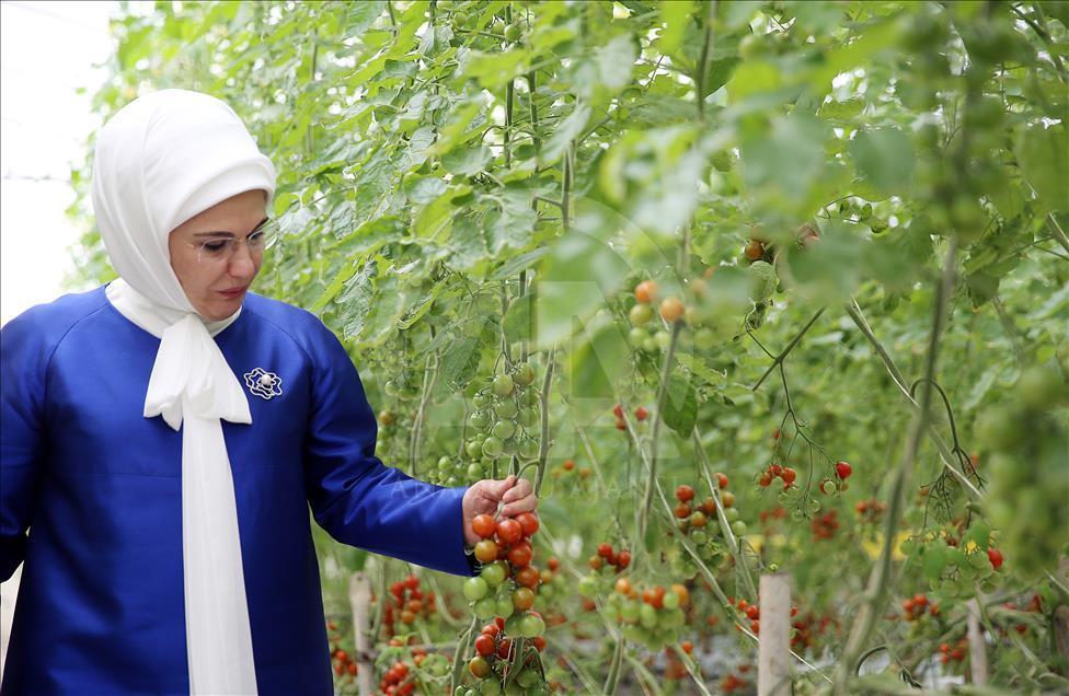 Emine Erdoğan, Bahreyn'de