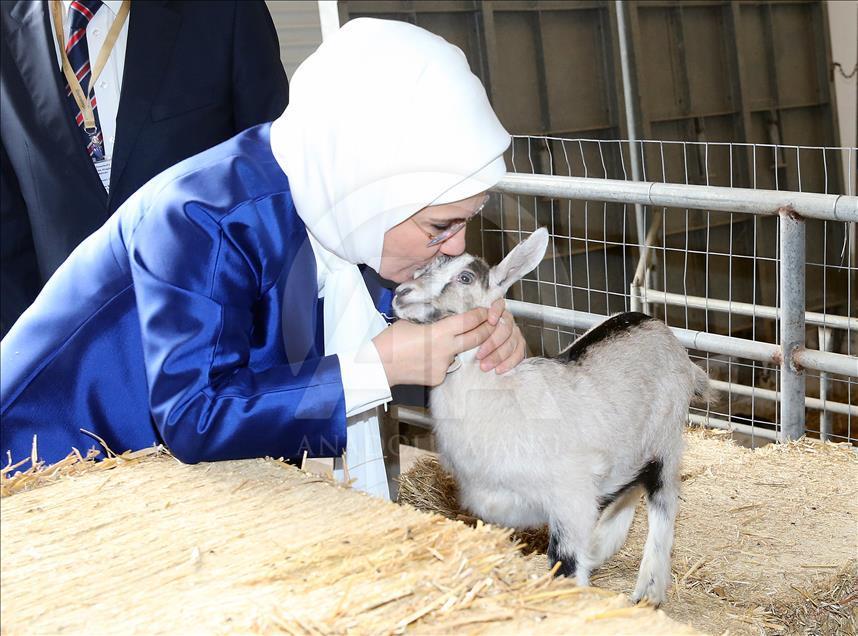 Emine Erdoğan, Bahreyn'de