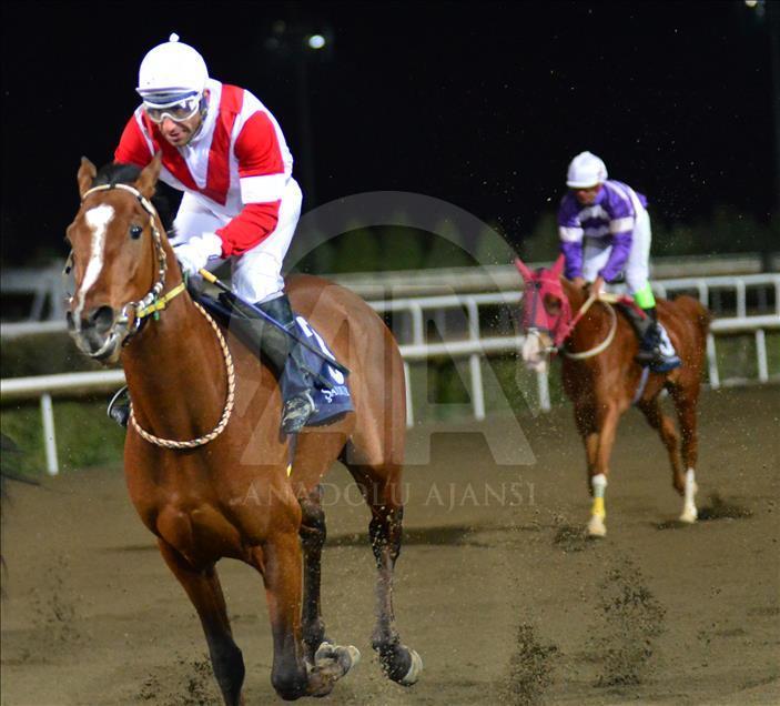 Türkiye'de atçılık "dört nala" ilerliyor