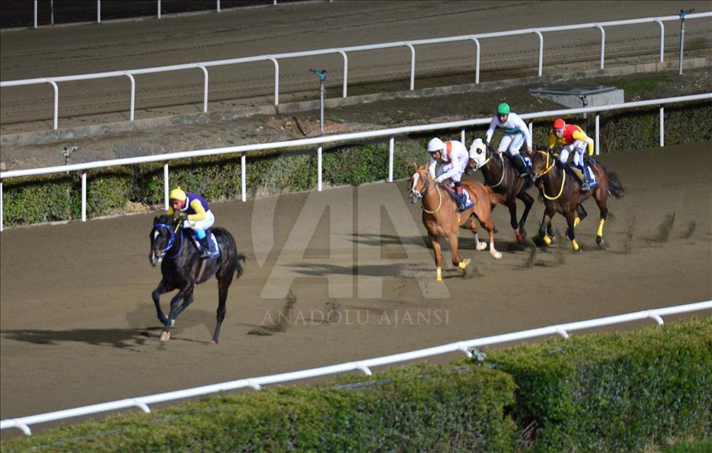 Türkiye'de atçılık "dört nala" ilerliyor