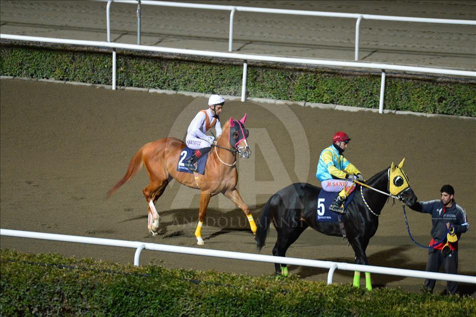 Türkiye'de atçılık "dört nala" ilerliyor