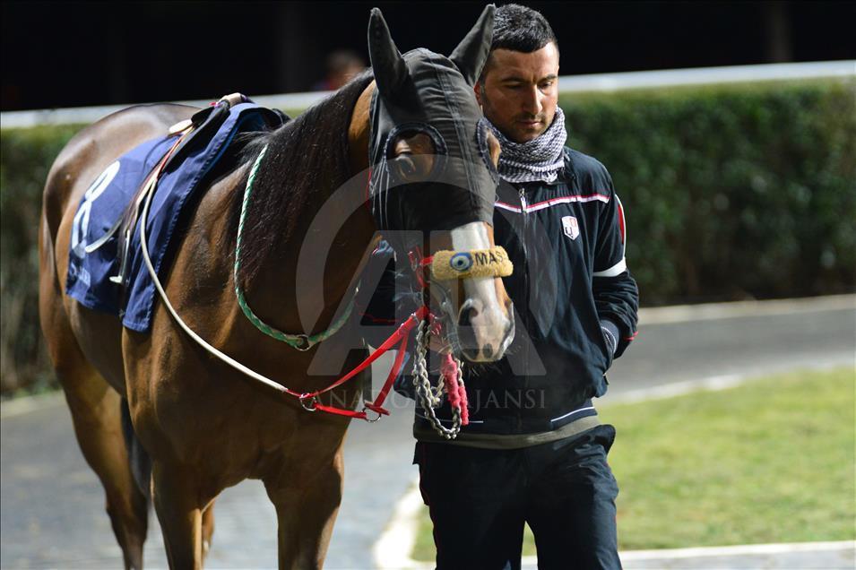 Türkiye'de atçılık "dört nala" ilerliyor