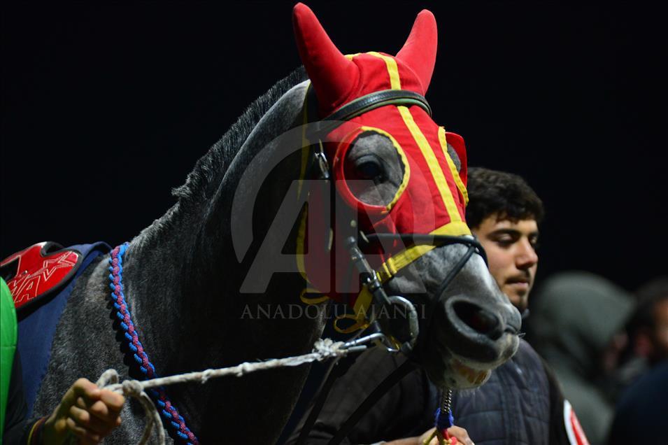 Türkiye'de atçılık "dört nala" ilerliyor