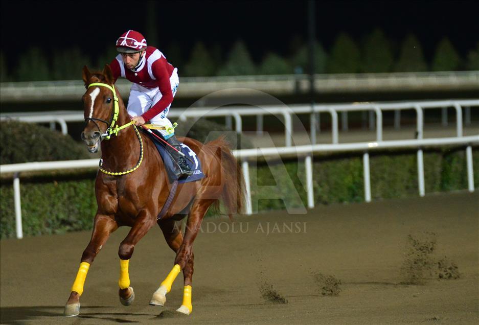 Türkiye'de atçılık "dört nala" ilerliyor