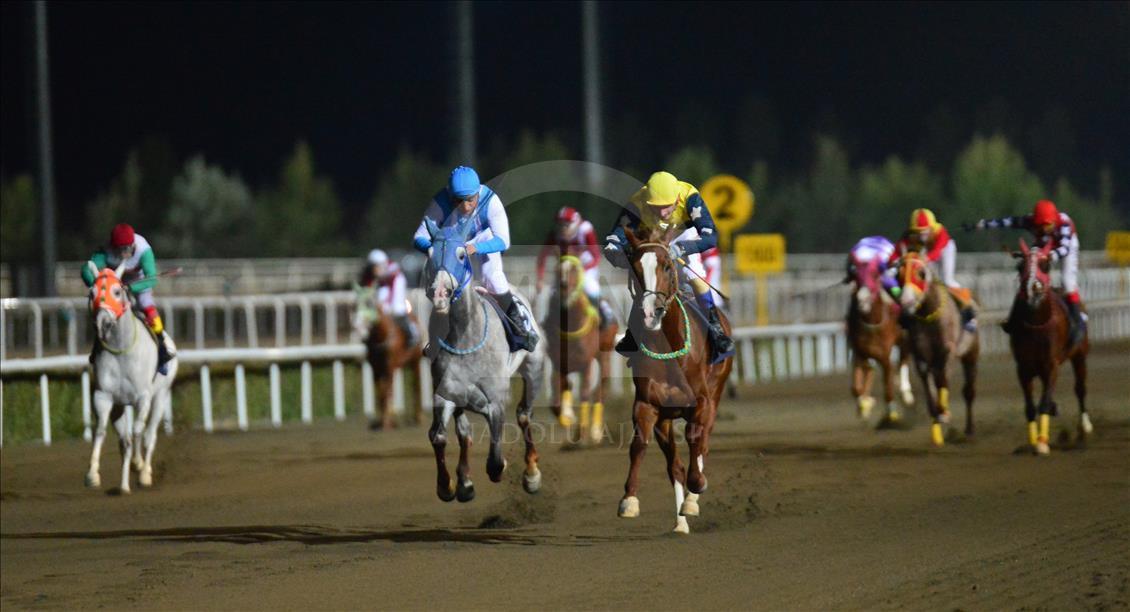 Türkiye'de atçılık "dört nala" ilerliyor