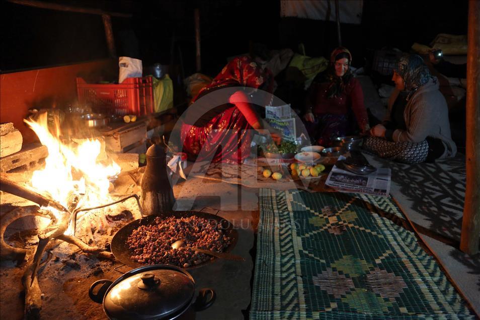Yörüklerin "oğlak" besleme telaşı