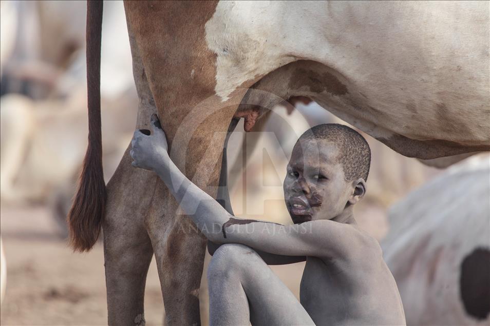 Güney Sudan'daki Mundari Kabilesi