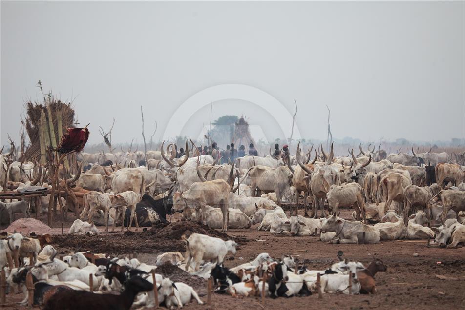 Güney Sudan'daki Mundari Kabilesi