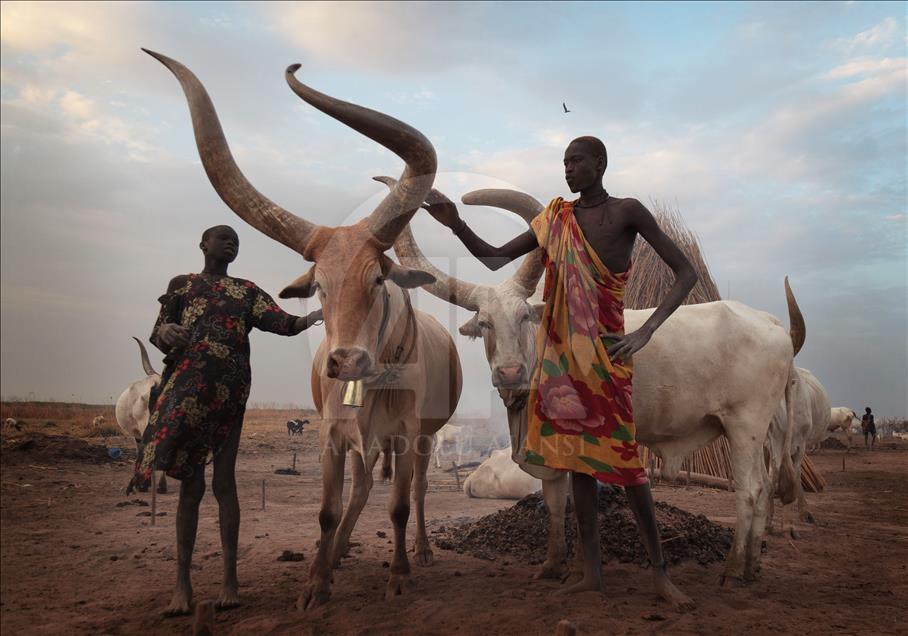 Güney Sudan'daki Mundari Kabilesi