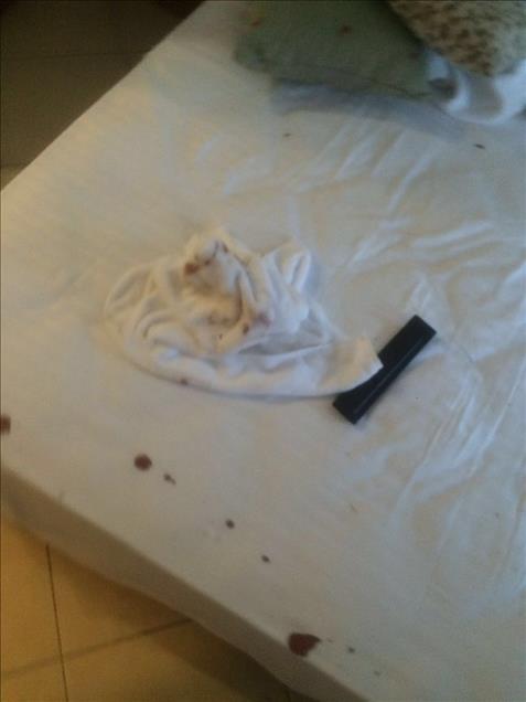 FETÖ'nün darbe girişimi