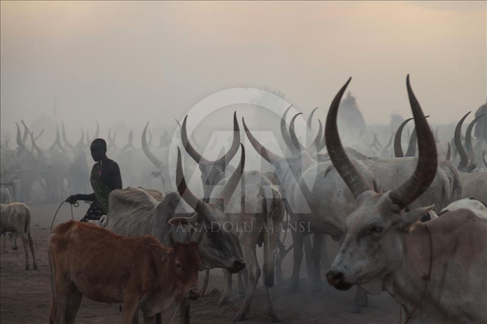 Güney Sudan'daki Mundari Kabilesi