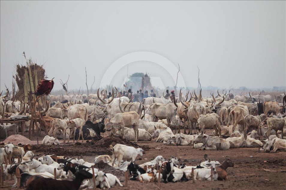 Güney Sudan'daki Mundari Kabilesi