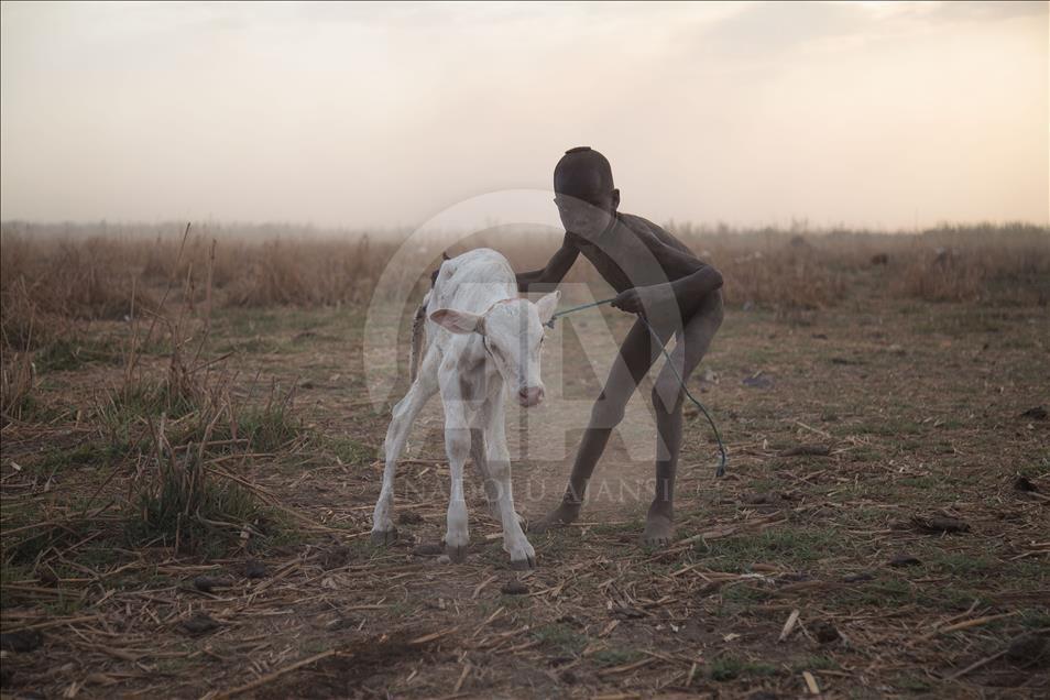 Güney Sudan'daki Mundari Kabilesi