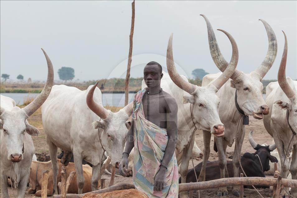 Güney Sudan'daki Mundari Kabilesi