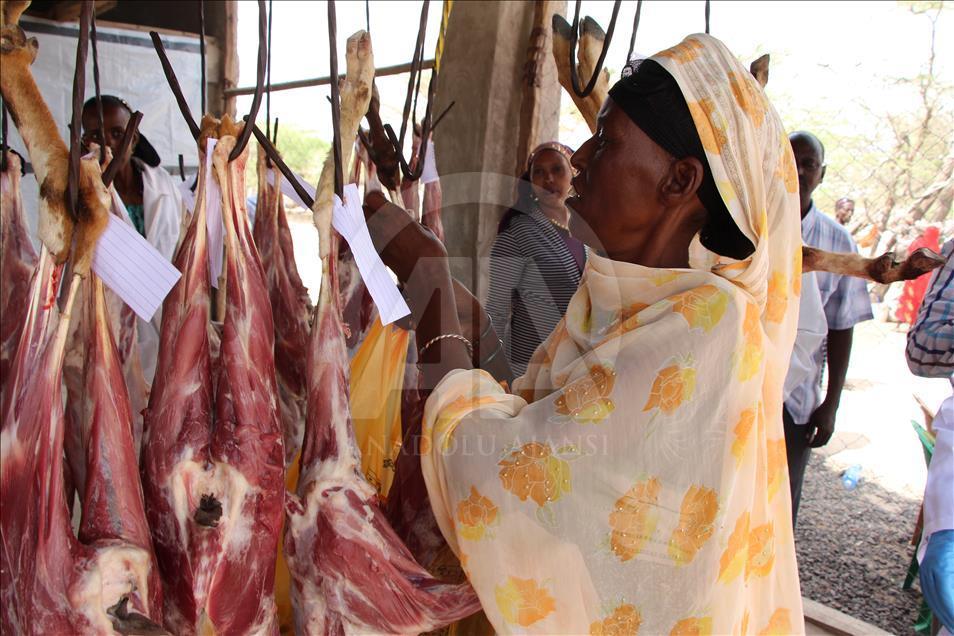 Kenya'da yaşam kuraklık tehdidi altında