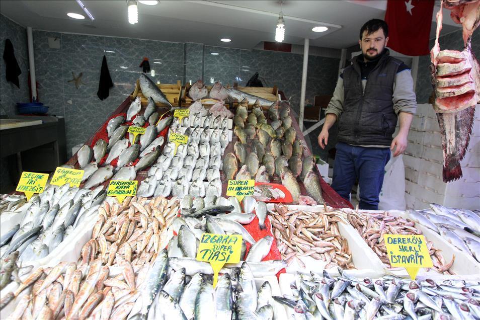 Havalar ısındı, balık fiyatları düştü