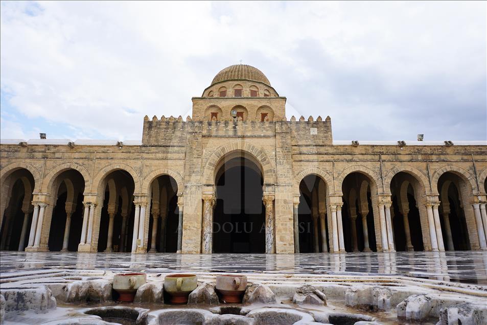 Çölde gül yetiştiren ülke: Tunus