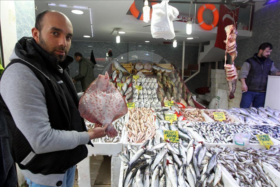 Havalar ısındı, balık fiyatları düştü