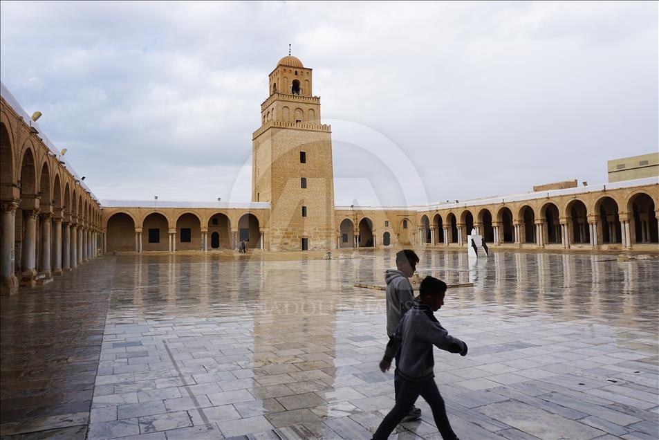 Çölde gül yetiştiren ülke: Tunus