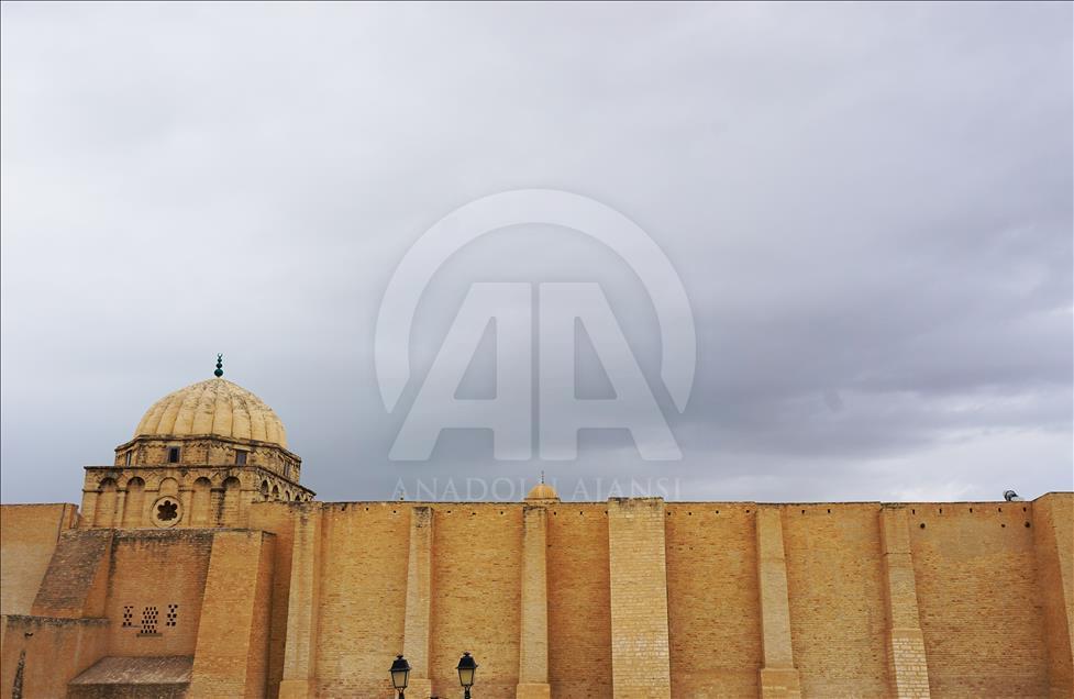 Çölde gül yetiştiren ülke: Tunus