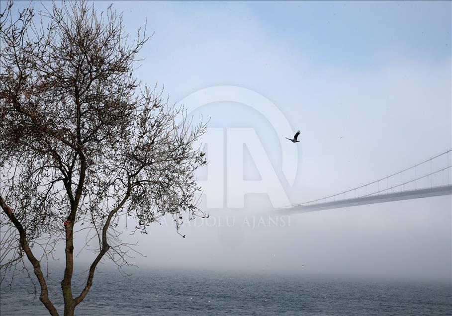 İstanbul'da sis