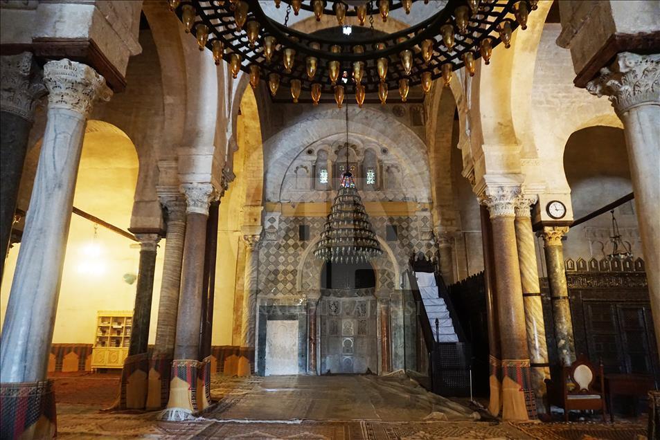 Çölde gül yetiştiren ülke: Tunus