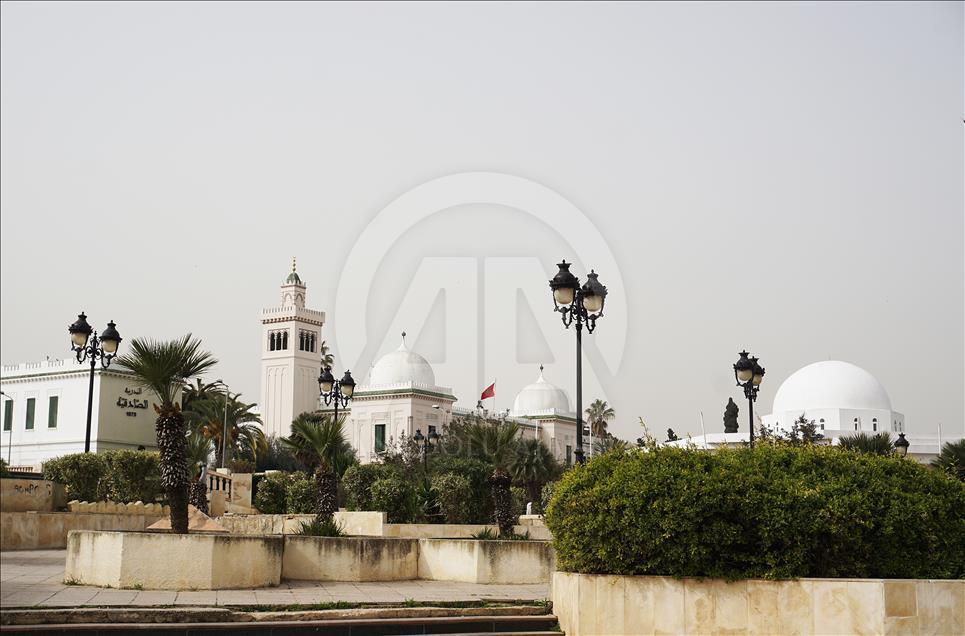 Çölde gül yetiştiren ülke: Tunus