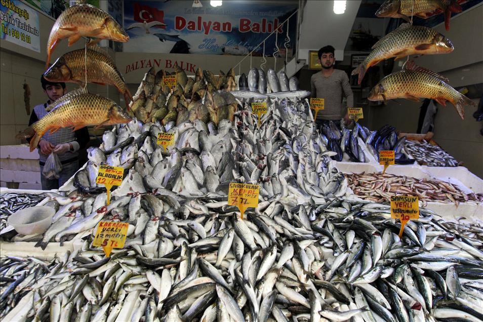 Havalar ısındı, balık fiyatları düştü