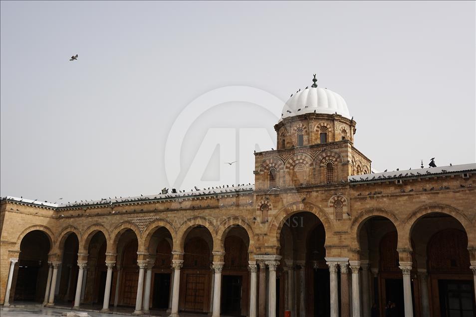 Çölde gül yetiştiren ülke: Tunus