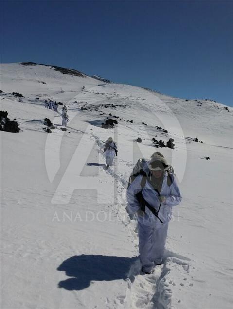 Ağrı'da terör operasyonu