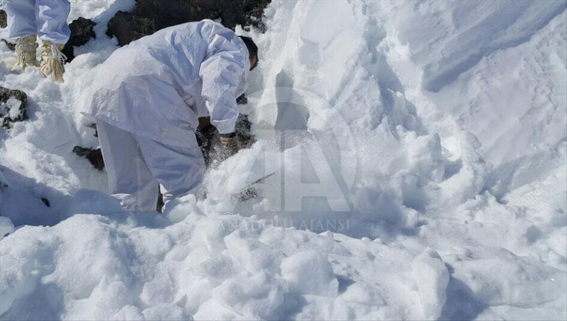 Ağrı'da terör operasyonu