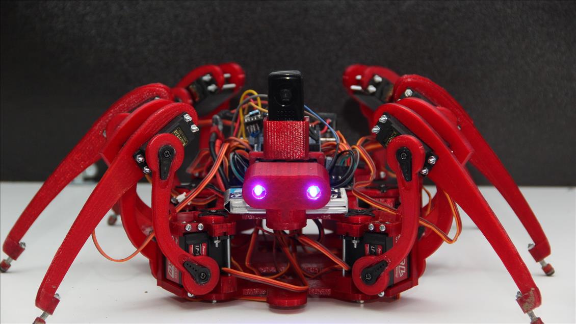 Bubi tuzaklarına "Örümcek Robot"lu çözüm