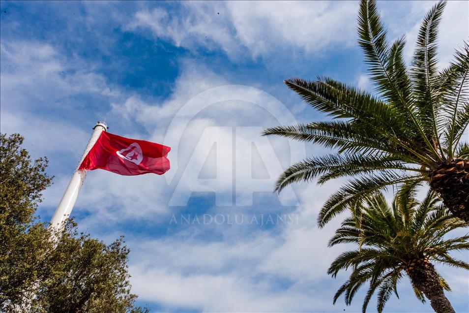 رئيس الحكومة التونسية يدشّن "ساحة العلم" احتفالا بذكرى الاستقلال
 4
